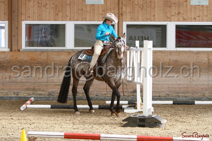 26-ApHC GT_175.jpg